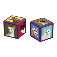 Load image into Gallery viewer, Cats Top Trumps Match - The Crazy Cube Game
